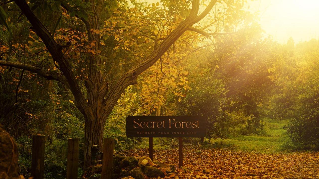 Secret Forest - Wellness Retreat & Healing Spa (Adults Only) Милиу Экстерьер фото
